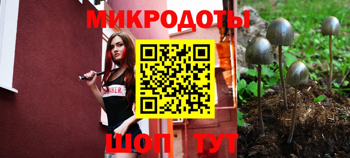 Псилоцибиновые грибы MAGIC MUSHROOMS  Вход с VPN  Симферополь 